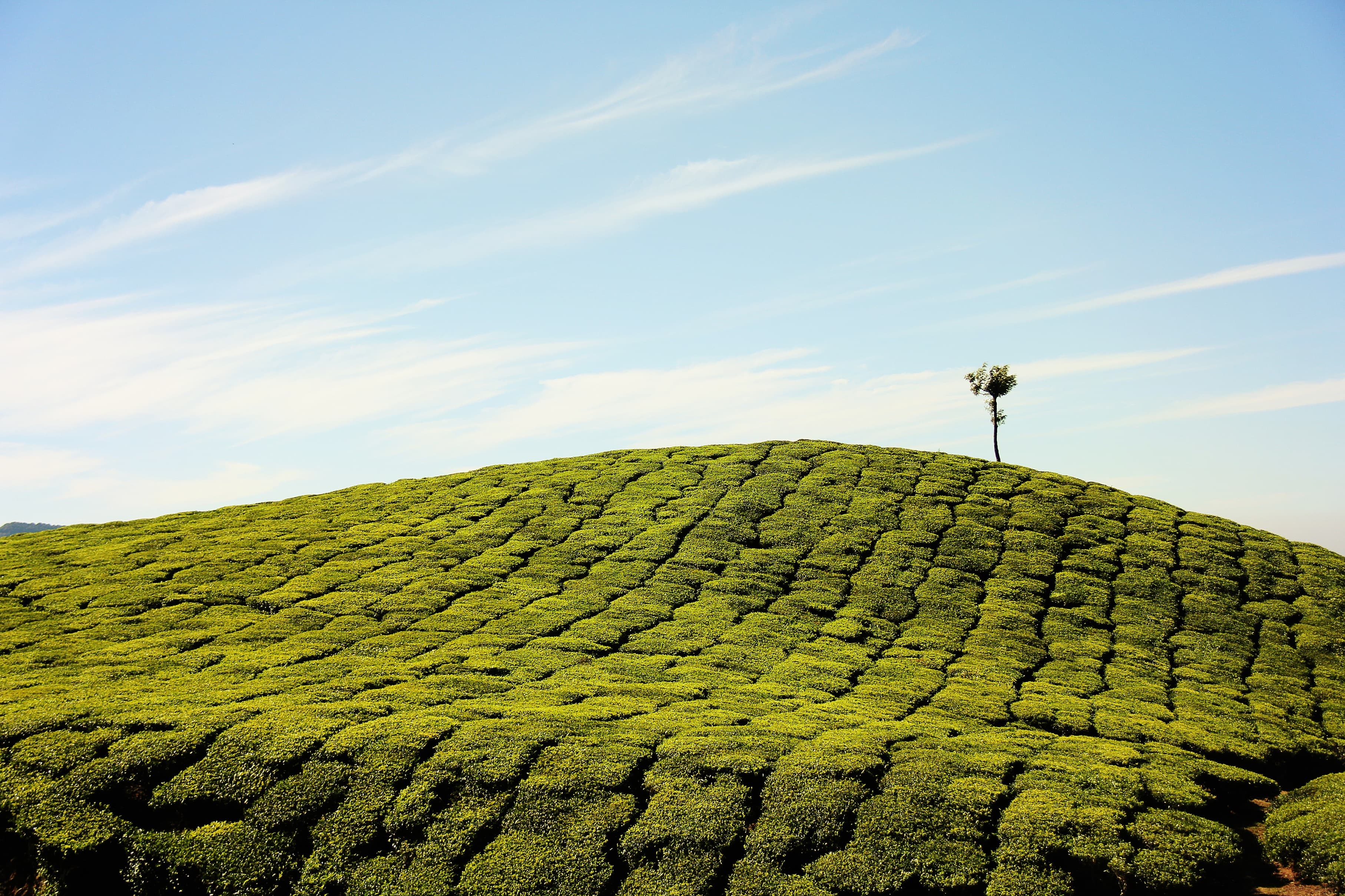 Two women walk beside a wooden hut in a terraced rice field at sunset, surrounded by green hills and a dramatic sky.